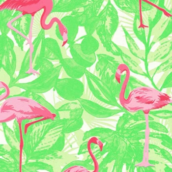 Papel de Parede Flamingo - Boys & Girls 6 - 359802 - TNT
