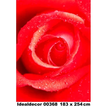 368 - Painel Fotográfico