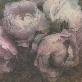 Papel de Parede Folhas e Flores - New Walls - 373922 - TNT/Vinilíco
