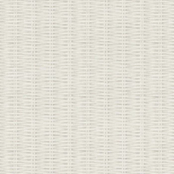 Papel de Parede Palha - New Walls - 373931 - TNT/Vinilíco