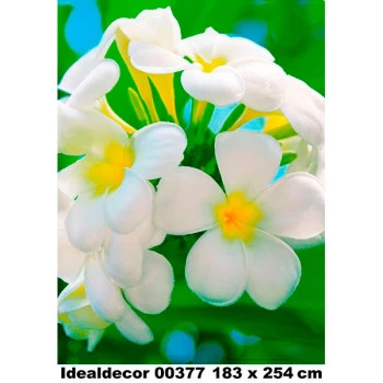 377 - Painel Fotográfico