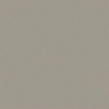 Papel de Parede Textura - Texture II - 3926 - Vinílico