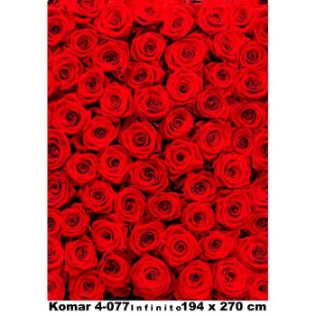 4-077 - Painel Fotográfico