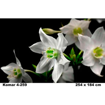 4-259 - Painel Fotográfico