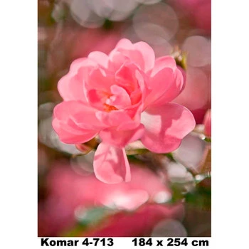 4-713 - Painel Fotográfico