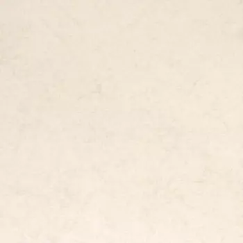 Papel de Parede Italiano Verve 42101  Vinílico Lavável