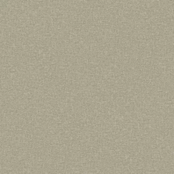 Papel de Parede Textura - Essencial B - 4307 - Vinílico