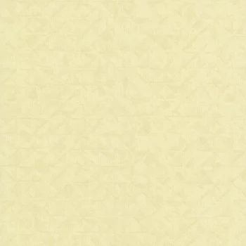 Papel de Parede Geométrico - Fragrance - 51194202 - Vinílco – TNT