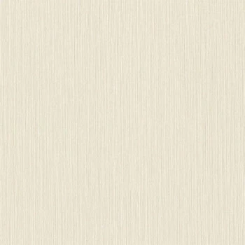 Papel de Parede Textura - African Queen III - 537628 - Lavável, TNT, Texturizado, Vinílico