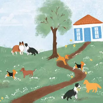 Papel de Parede Infantil - Passeio no Campo - 602759 - Vinílico