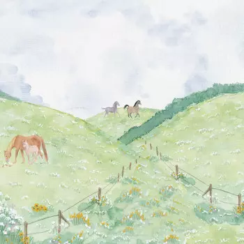 Papel de Parede Infantil - Passeio no Campo - 602766 - Vinílico