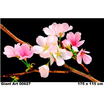 627 - Painel Fotográfico