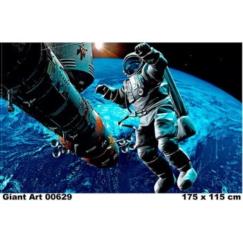 629 - Painel Fotográfico