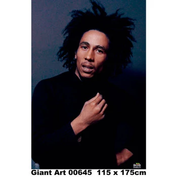 645 - Painel Fotográfico