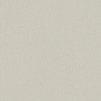 Papel de Parede Textura - Lionel - 660145 - Vinilizado / TNT