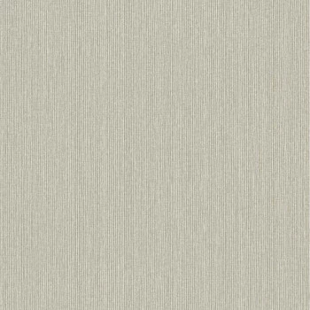 Papel de Parede Textura - Lionel - 660183 - Vinilizado / TNT