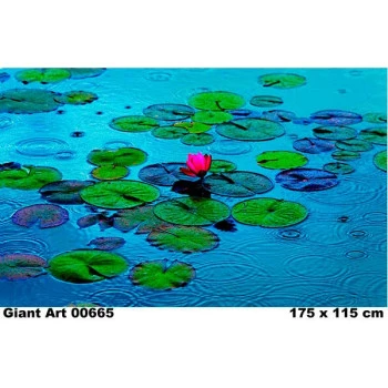 665 - Painel Fotográfico