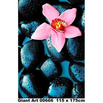 666 - Painel Fotográfico