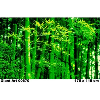 670 - Painel Fotográfico