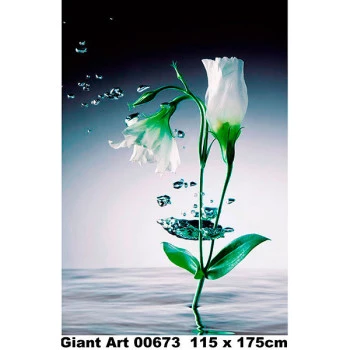 673 - Painel Fotográfico