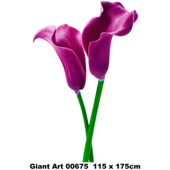 675 - Painel Fotográfico