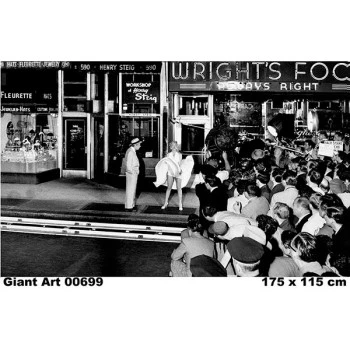 699 - Painel Fotográfico