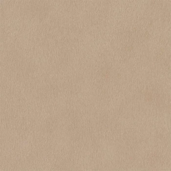 Papel de Parede Animal Print - African Queen III - 751055 - Lavável, TNT, Texturizado, Vinílico