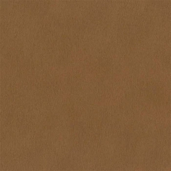 Papel de Parede Animal Print - African Queen III - 751079 - Lavável, TNT, Texturizado, Vinílico