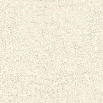 Papel de Parede Animal Print - African Queen III - 751321 - Lavável, TNT, Texturizado, Vinílico