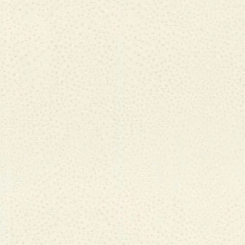 Papel de Parede Animal Print - African Queen III - 751536 - Lavável, TNT, Texturizado, Vinílico
