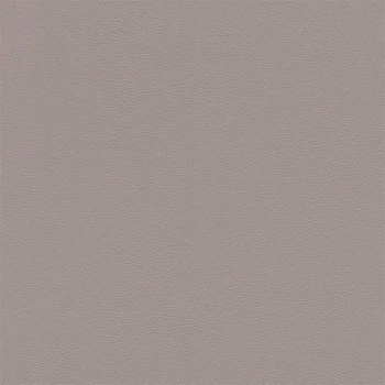 Papel de Parede Animal Print - African Queen III - 752649 - Lavável, TNT, Texturizado, Vinílico