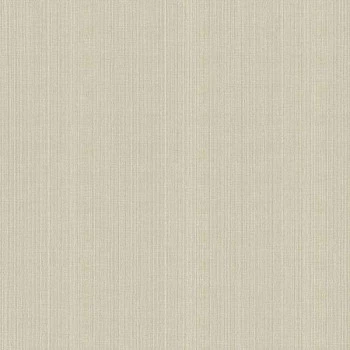 Papel de Parede Textura - Lionel - 9550543 - Vinilizado / TNT