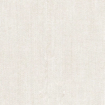 Papel de Parede Textura - Space IX - 9S160301 - Vinílico / TNT