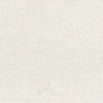 Papel de Parede Textura - Space IX - 9S160602 - Vinílico / TNT