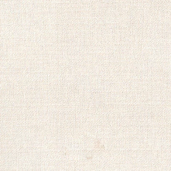 Papel de Parede Textura - Space IX - 9S160605 - Vinílico / TNT