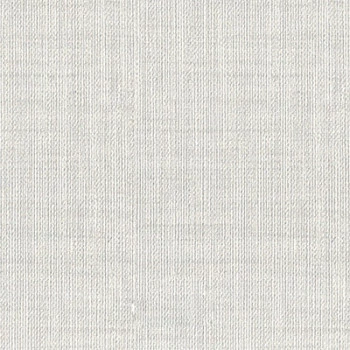 Papel de Parede Textura - Space IX - 9S160801 - Vinílico / TNT