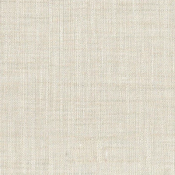 Papel de Parede Textura - Space IX - 9S160803 - Vinílico / TNT