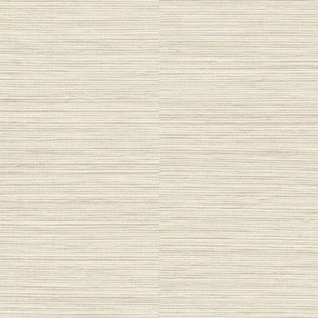 Papel de Parede Textura - Ciara - a62901 - Vinílico