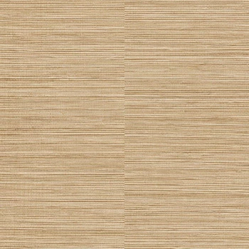 Papel de Parede Textura - Ciara - a62902 - Vinílico
