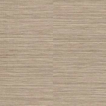Papel de Parede Textura - Ciara - a62903 - Vinílico