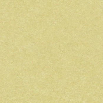Papel de Parede Textura - Ciara - a65604 - Vinílico