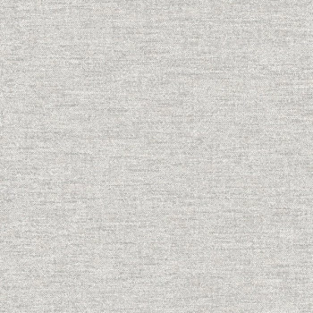 Papel de Parede Textura - Icon - A72102 - Vinílico