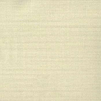 Papel de Parede Textura - Aditare 3 - AD300505R - Vinílico