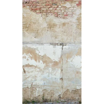 Papel de Parede Painel Tijolinho - The Wall 2 - AS392491 - Vinílico