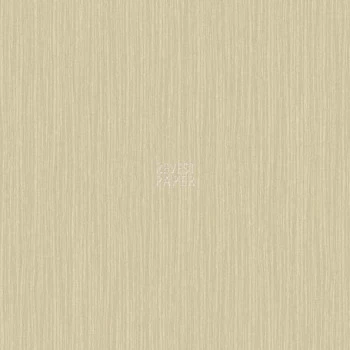 Kashmir - BH8311 - Papel de Parede Americano Vinílico-Lavável   