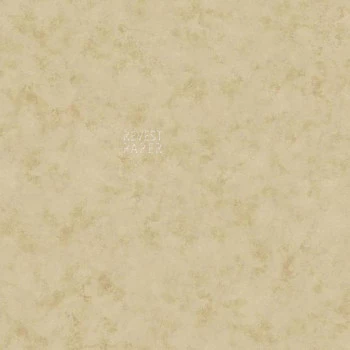 Kashmir - BH8348 - Papel de Parede Americano Vinílico-Lavável   