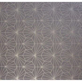CAPUSSO- WM190307019-  Papel de Parede Chinês Vinílico  