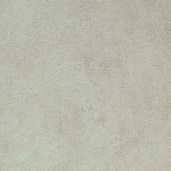 Papel de Parede Textura - Campos do Jordão - CJV-41 - Vinílico - TNT