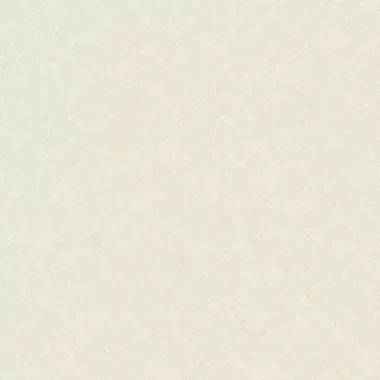 Papel de Parede Textura - Concept - CO1101 - Vinílico