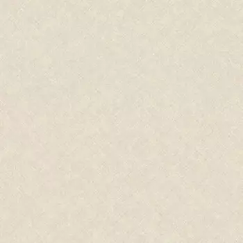 Papel de Parede Textura - Concept - CO1102 - Vinílico